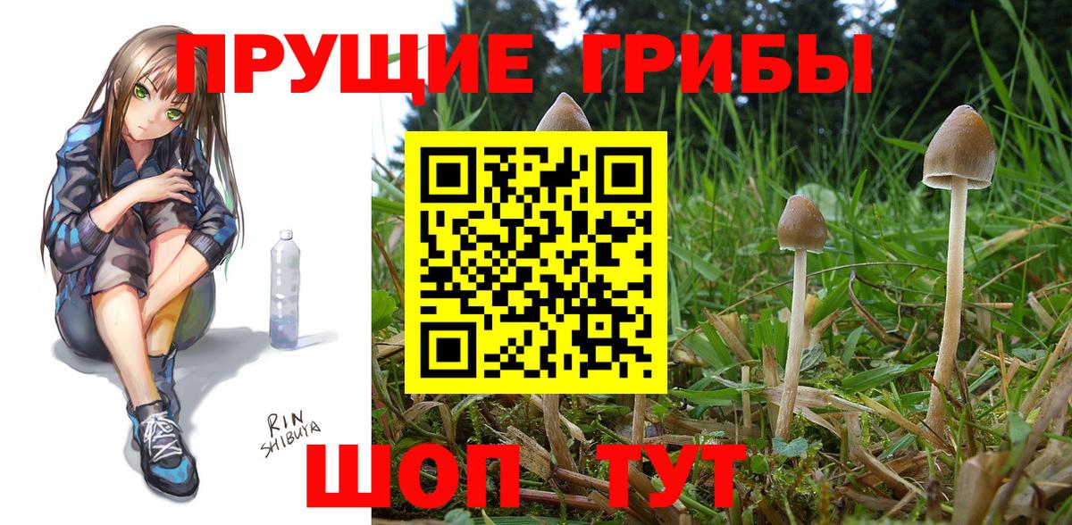 Галлюциногенные грибы Cubensis  Вход с VPN  Черняховск  где можно купить наркотик  Псилоцибиновые грибы Cubensis 