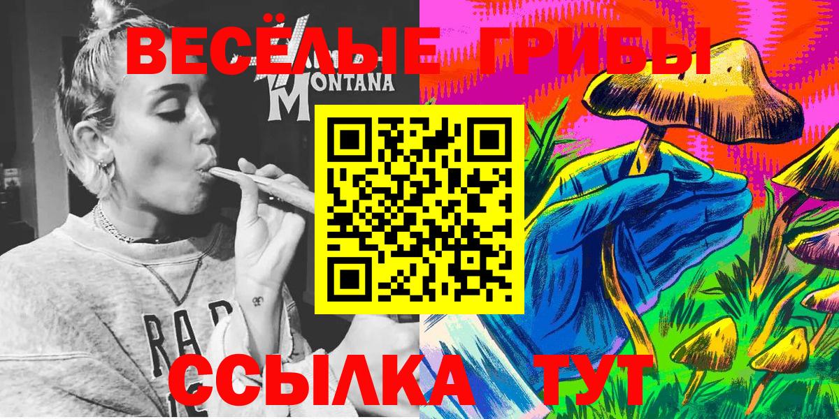 Галлюциногенные грибы мицелий Черняховск